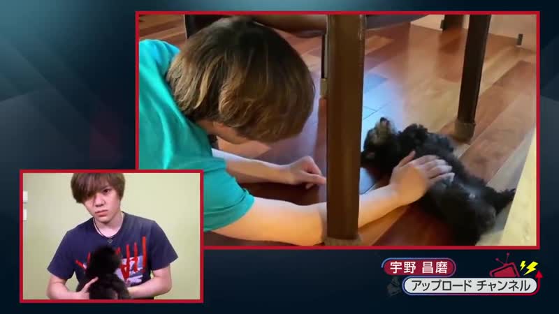 【宇野昌磨】新しい家族が増えました 【shoma uno】please welcome my new family