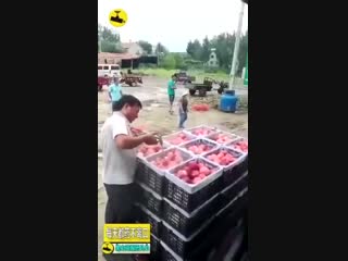 Обработка продуктов питания химикатами ( китай )