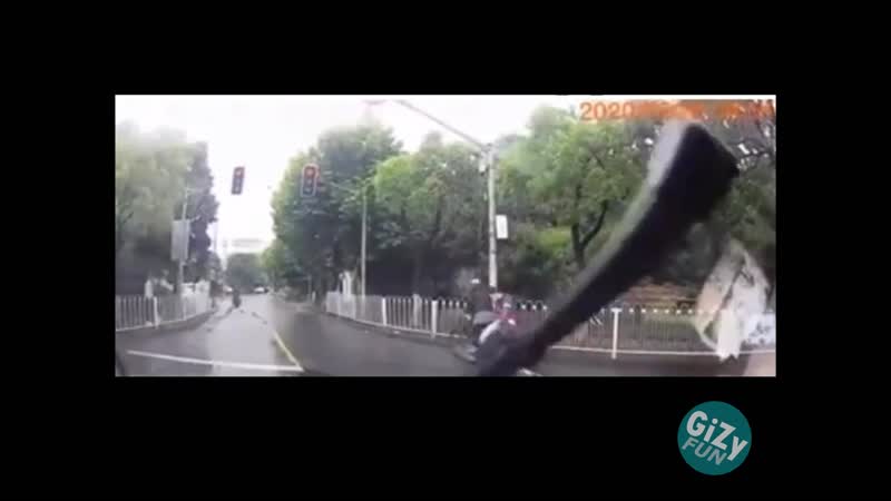 Мгновенная пересадка [gizy fun]