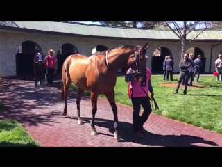 A p indian getting set for his seasonal bow in the commonwealth
