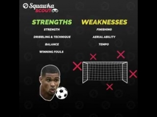 Squawkascout ruben loftus cheek