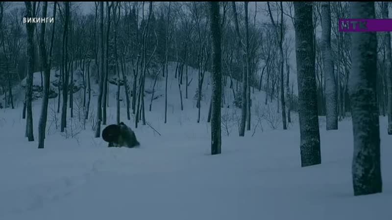 Викингтер 4 маусым, 1 2 бөлімдері