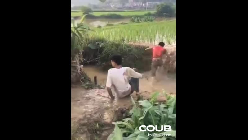 Весёлая кутерьма!