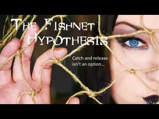 Гипотеза рыболовной сети (2021) the fishnet hypothesis