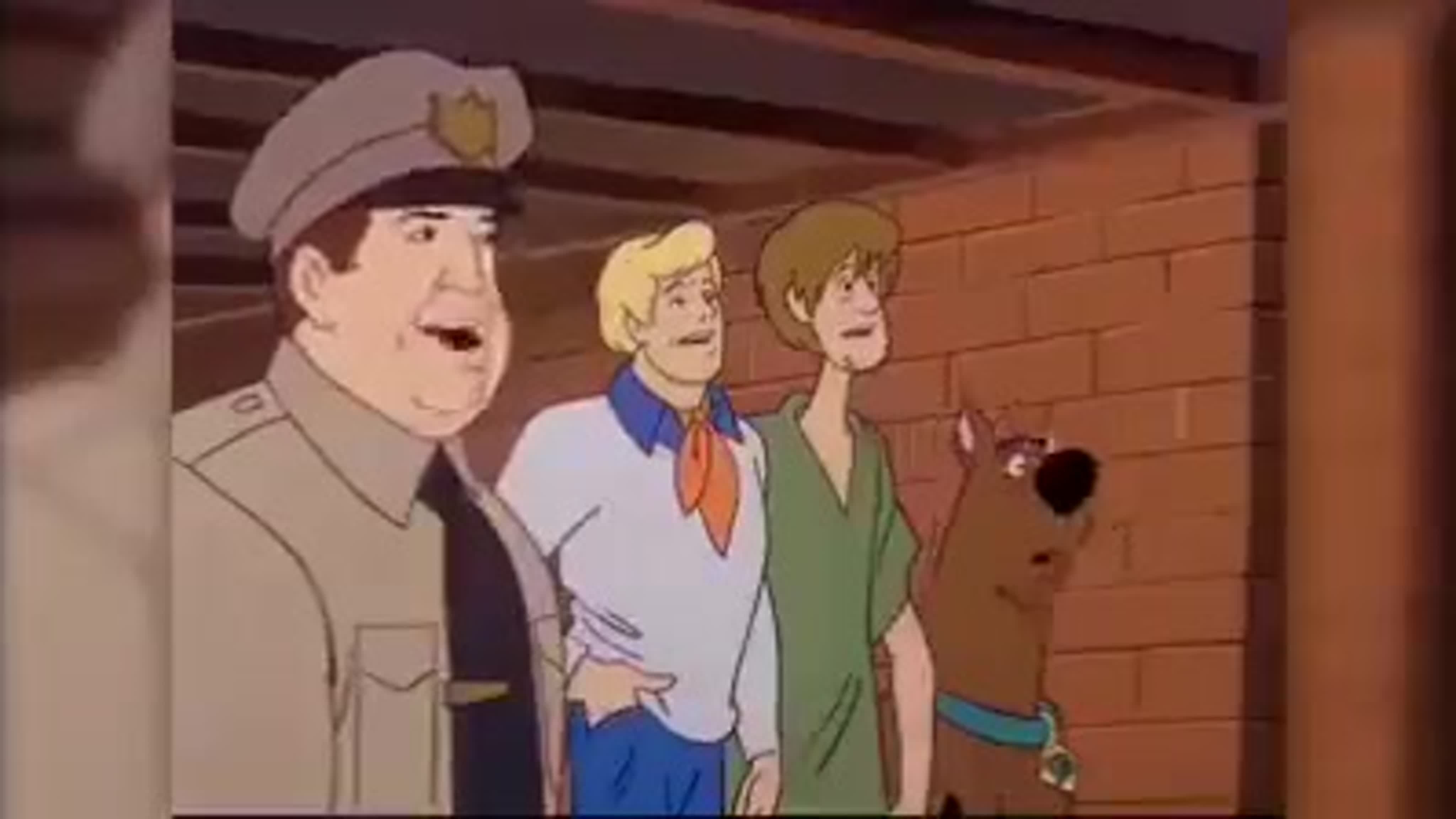 Scooby dooby doo we blame 🤣🤣