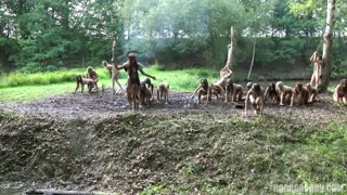 Амазонки / private gold 4 amazonas (1996) porn video on BrownPorn