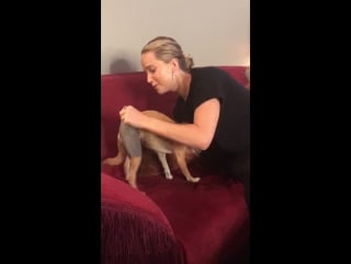 Jennifer lawrence and pippi on jimmy kimmel