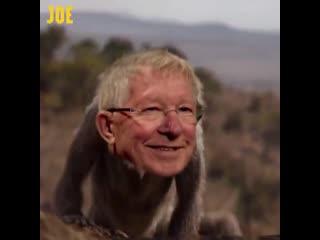 On fera pas mieux [footballjoe] mufc