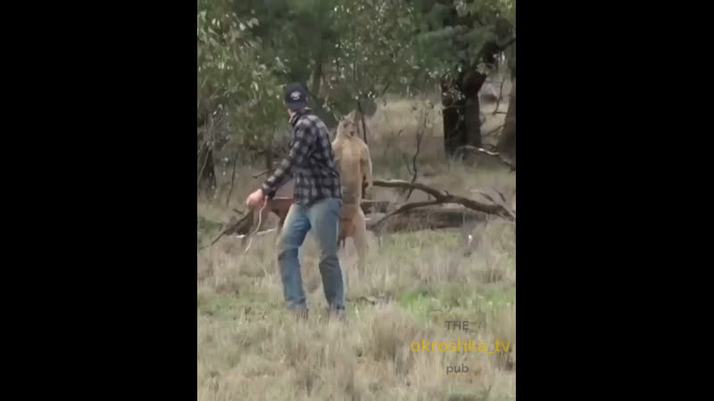 Нехуя себе блять въебал эээ