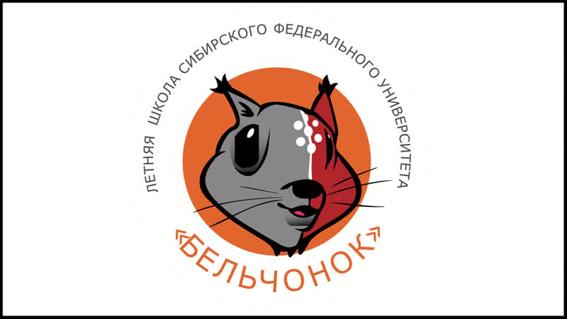 Разбор отборочного этапа олимпиады "бельчонок"!