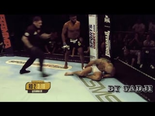 Bamma 14 paul daley vs romario manoel da silva by gadji