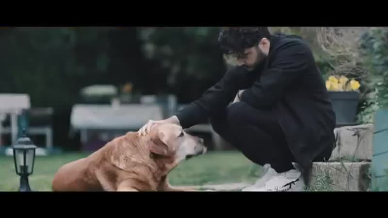 İlyas yalcintas dunya senin