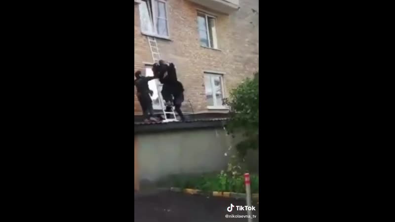 Нюхай бебру