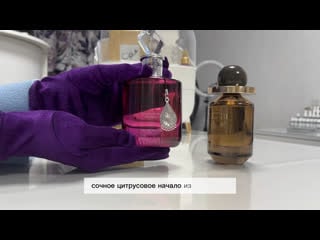 Aroob, ajmal ehsaas bloom, celestia hazel | обзор