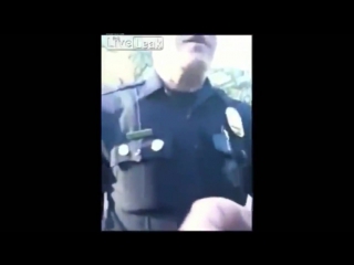 Когда конституция и законы работают