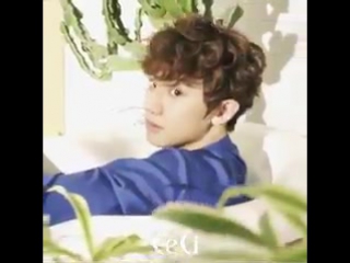 170117 cecikorea instagram update with chanyeol