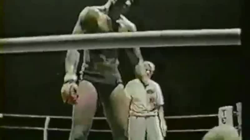 Jose pele landi vale tudo highlights