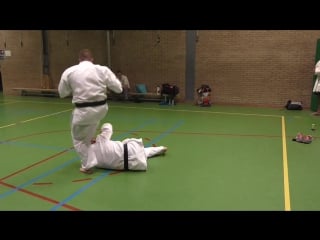 Goshin kata ichi marc