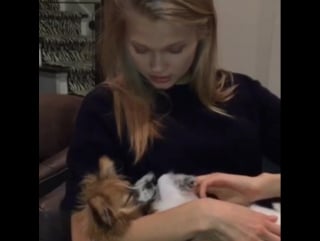 @vitasidorkina baby masha is sleeping! lol🐶