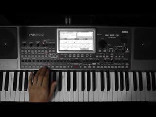 M martina korgstyle wind and rain (korg pa 900) italodisco remix