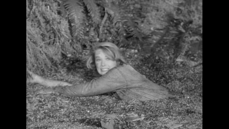 1955 тарзан и затерянные джунгли / tarzan’s hidden jungle