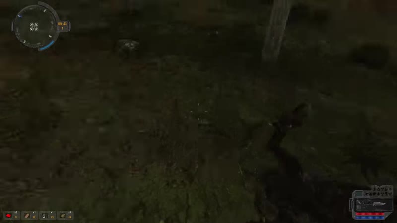 [fladar] в сталкер добавили девушку stalker coc by stason174 сюжет хип #1