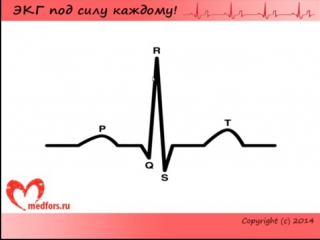 [ 2 экг под силу каждому ] зубцы, сегменты, интервалы