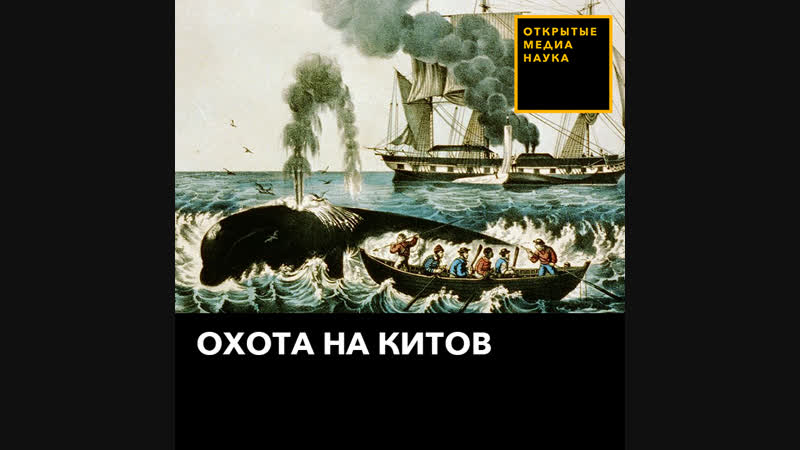 Охота на китов
