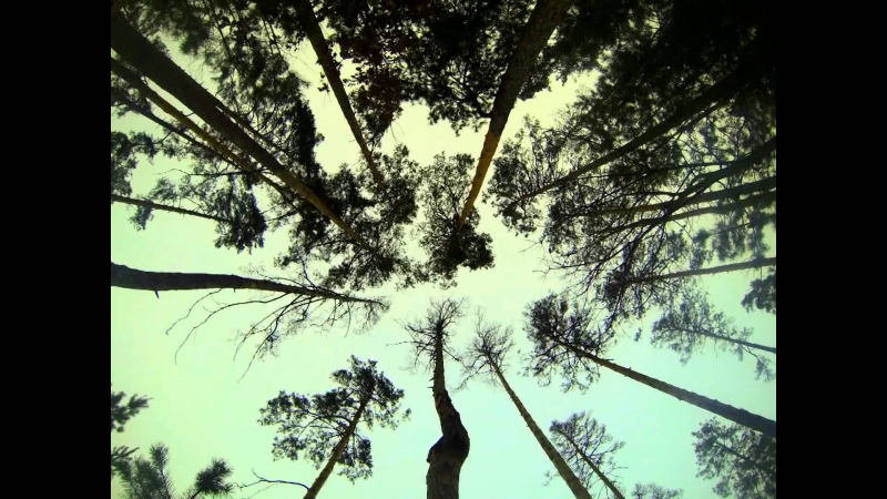 Diy lifehack timelapse gopro monopod crane in wood