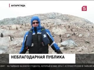 Оперный певец ник аллен исполнил арию для пингвинов в антарктиде