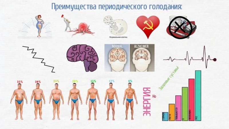 Периодическое голодание! шокирующая правда