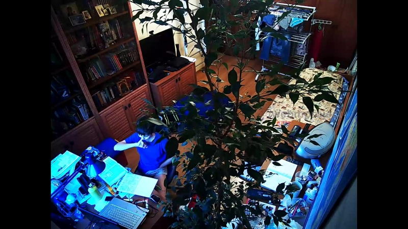 Мамкин дегустатор (vhs video)