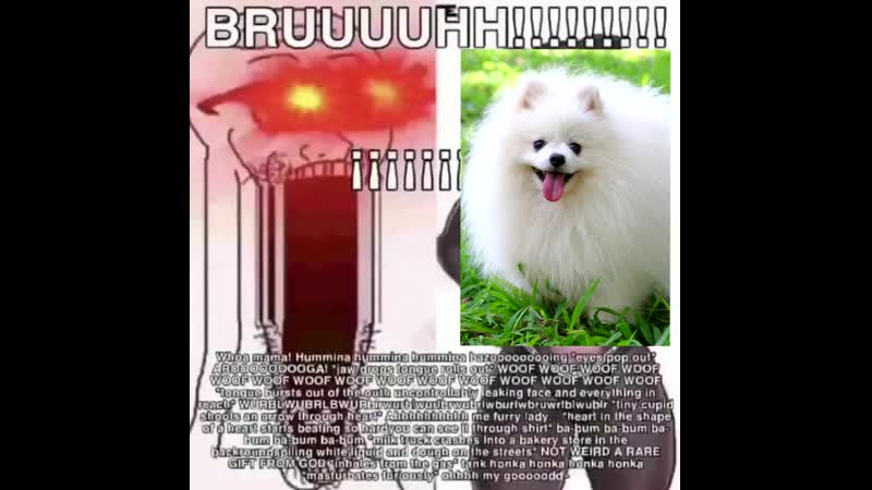 Woof porn video – Woof woof woof