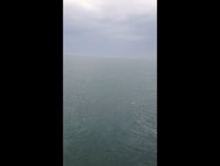 Сочи набережная дельфины 🐬