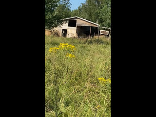 Видео от оксаны кузьминой