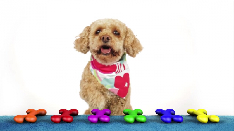 Learn colors with lizzy the dog educational video for porn by brain candy tv