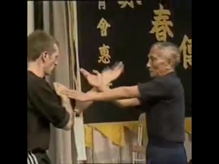 Grandmaster yip chun some amazing chi sao