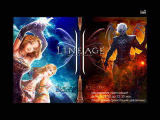 Thebattleclub x300 warlord solo gaming