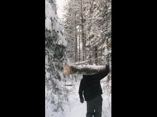 Зимовье в лесу