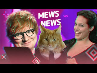 Mews news | джоли, ed sheeran, бузова