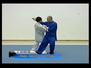 Задняя подножка