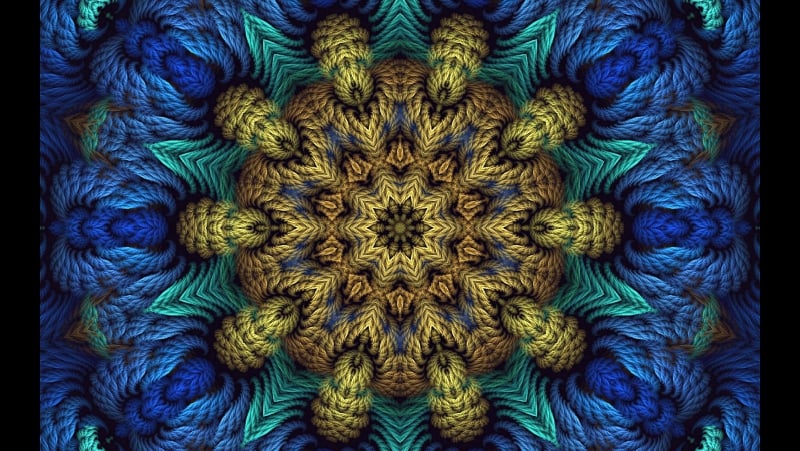 Фракталы в природе