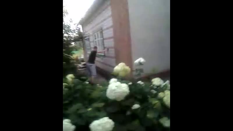 Боевой клич бо