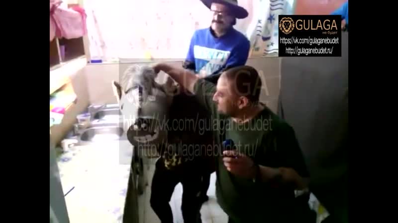 Тюремные развлечения 80 уровня ч 1 цеповяз нервно курит в сторонке, а крабы зеленеют от зависти