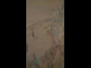 Vid 20190318 231244 mp4