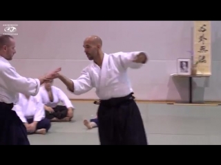 Aikido stephane goffin vienna nov 17 mp4