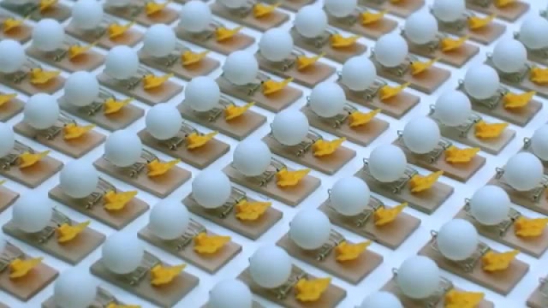 Экспериментатор 2014 мышеловок и 2015 мячей для пинг понга создают ...