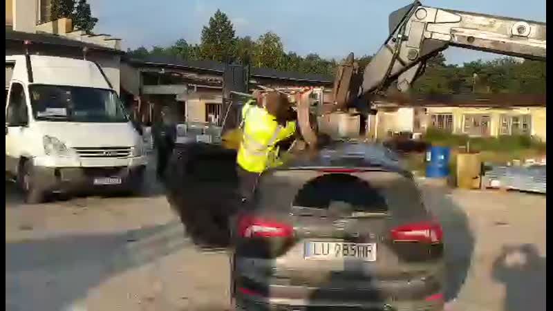 Трофейный лось mp4