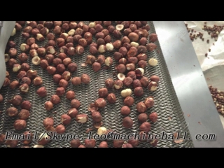 Continuous hazelnut baking machine with factory pirce