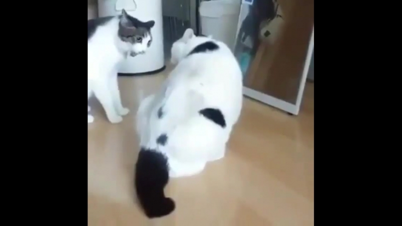 Разнял драку